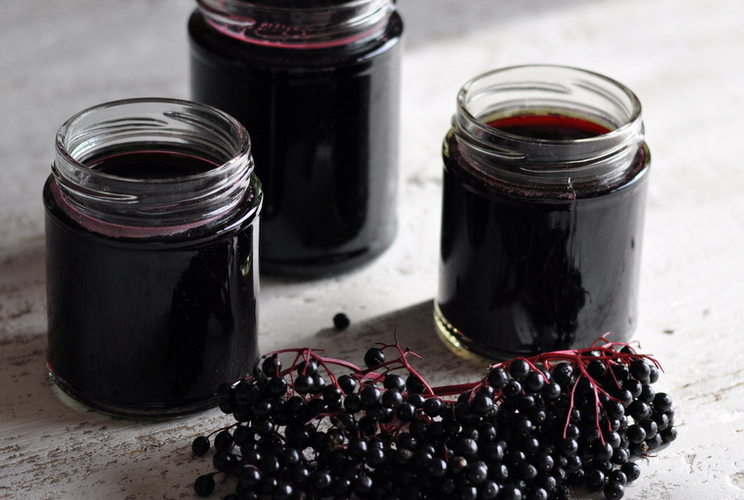 Elderberry Queen's Elderberry Syrup