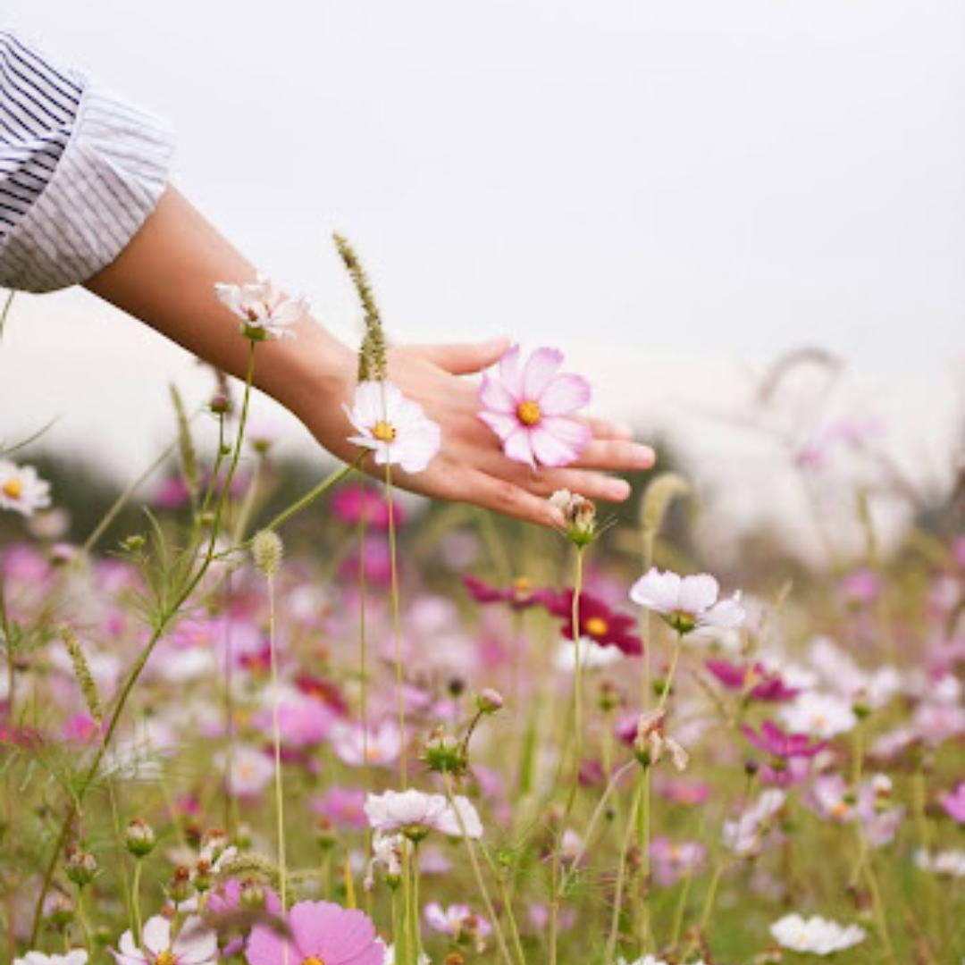 Spring Allergies: How to Nip Them in the Bud With Natural Relief