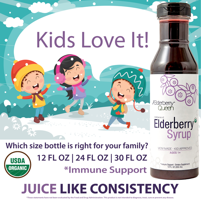 Organic Elderberry Syrup 12 fl oz