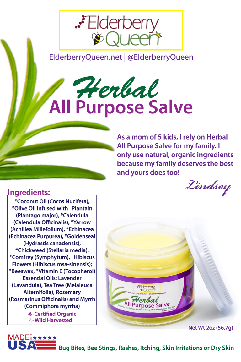 Herbal Healing Salve- Case of 6