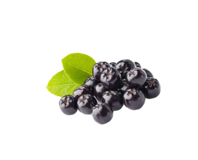 Aronia