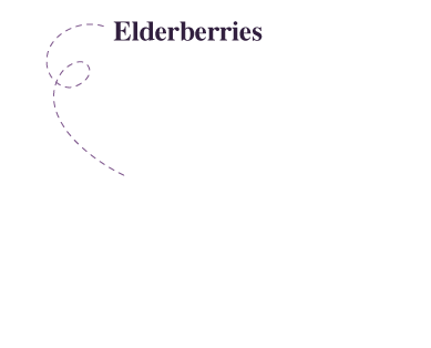 Elderberry