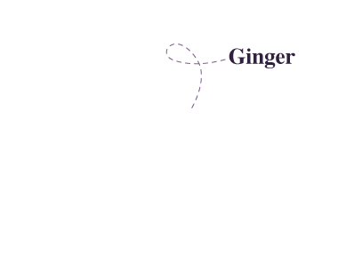 Ginger